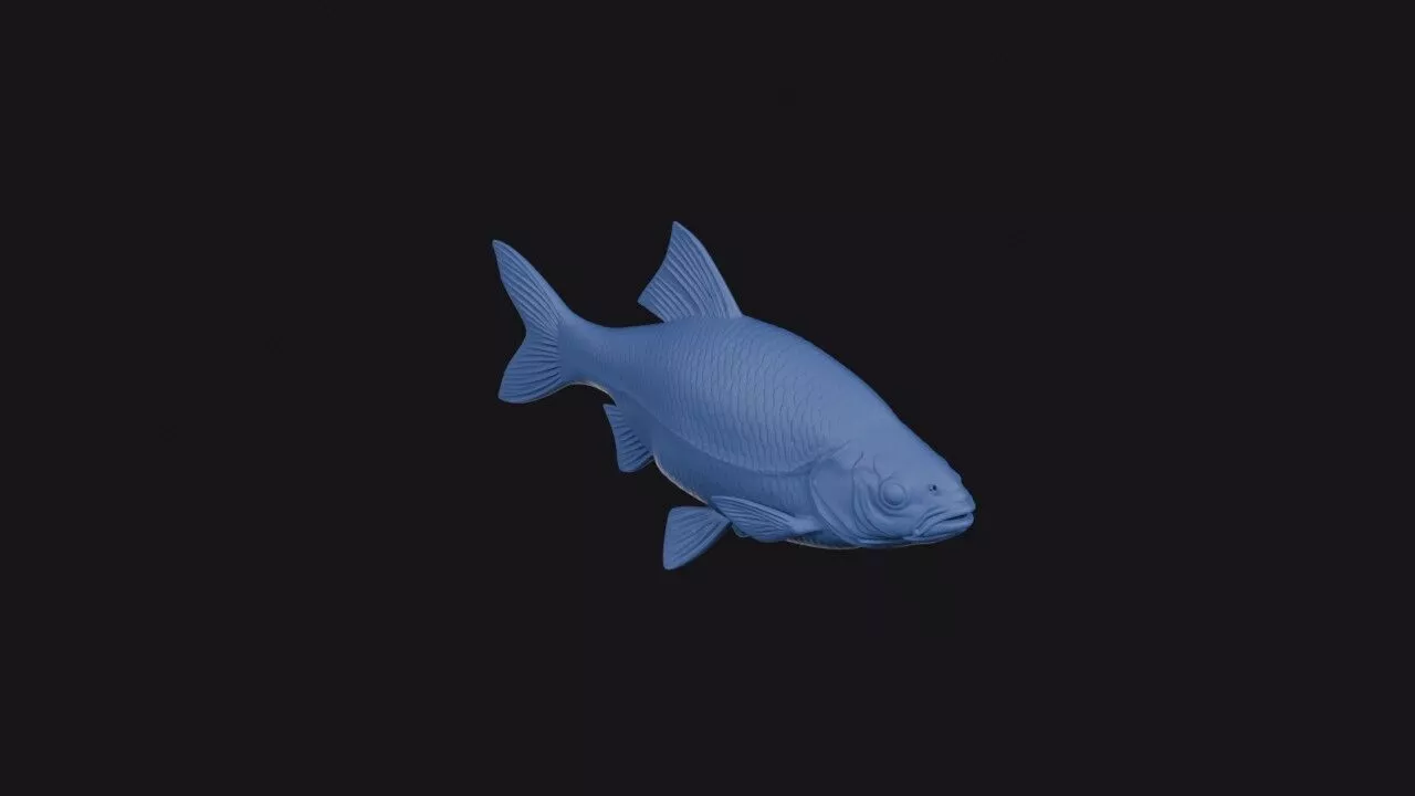 Common Rudd Fish 3D print model