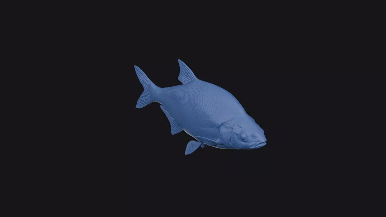 Common Bream 3D print model