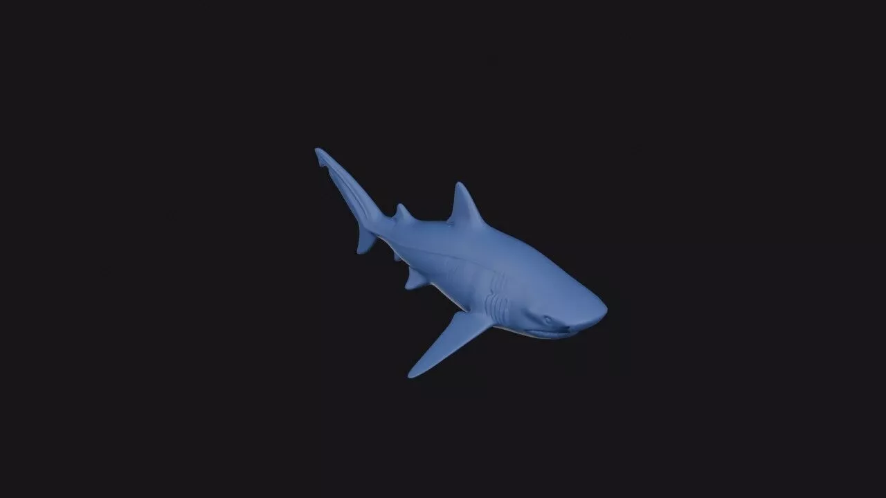 Bluntnose Sixgill Shark 3D print model