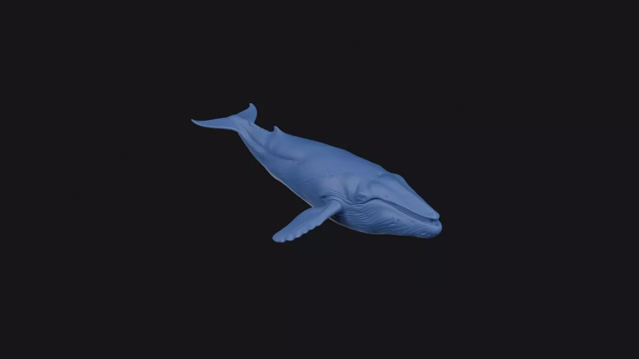 Blue Whale 3D print model