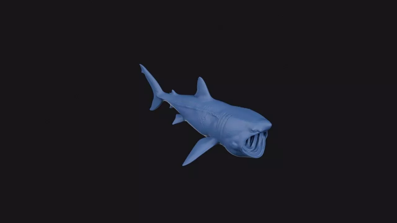 Basking Shark 3D print model