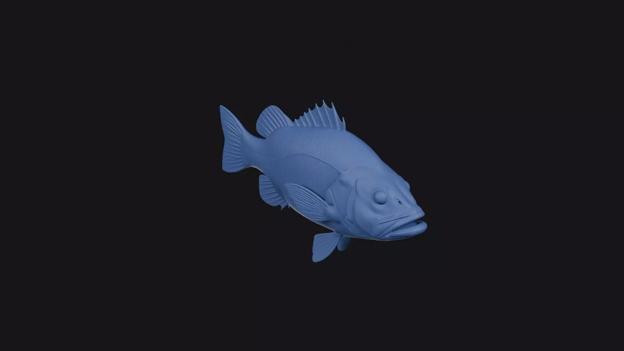 Atlantic Wreckfish 3D print model
