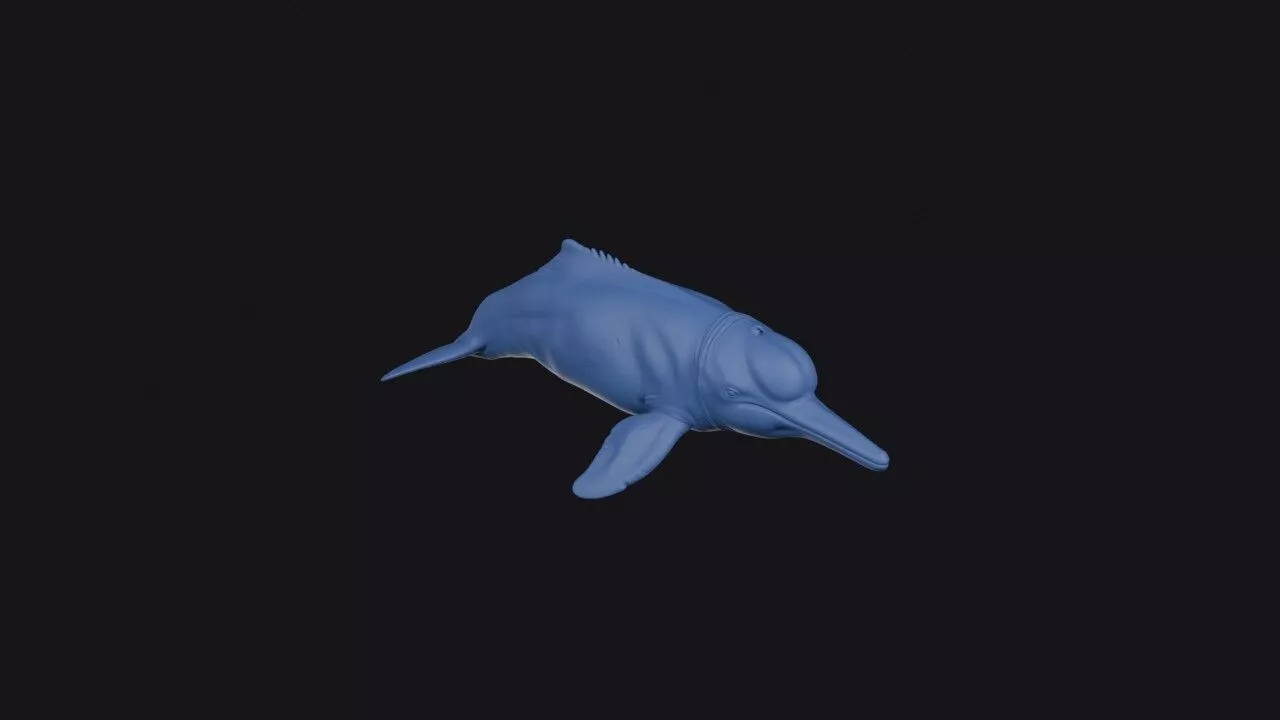 Amazon River Dolphin 3D print model