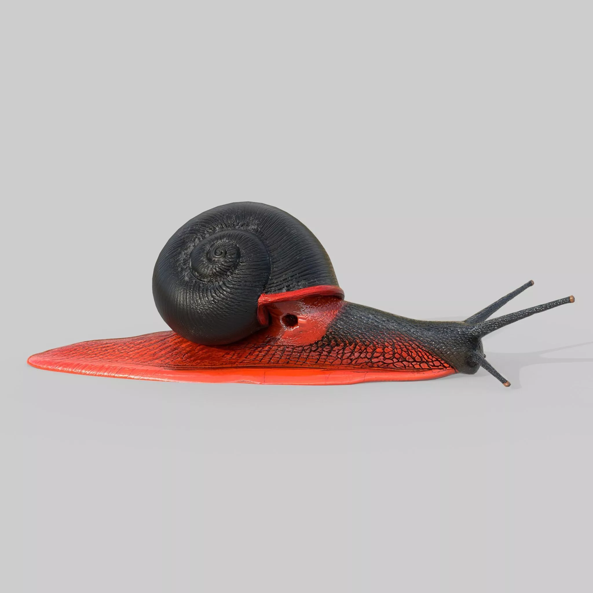 Fire Snail Low-poly 3D model