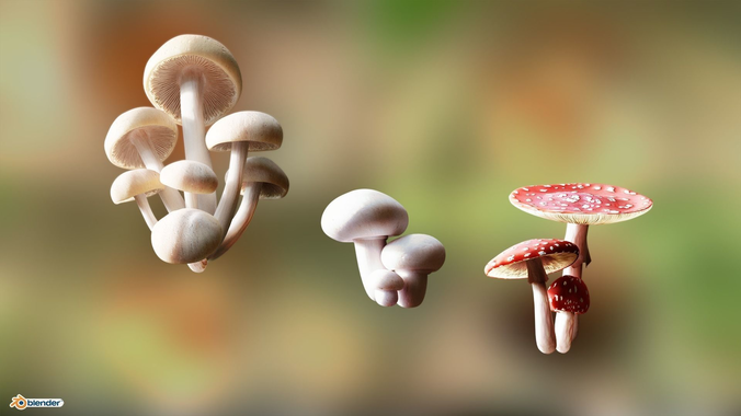 Game ready PBR Mushrooms 3D model SET 3 how to grow at home Low-poly 3D model
