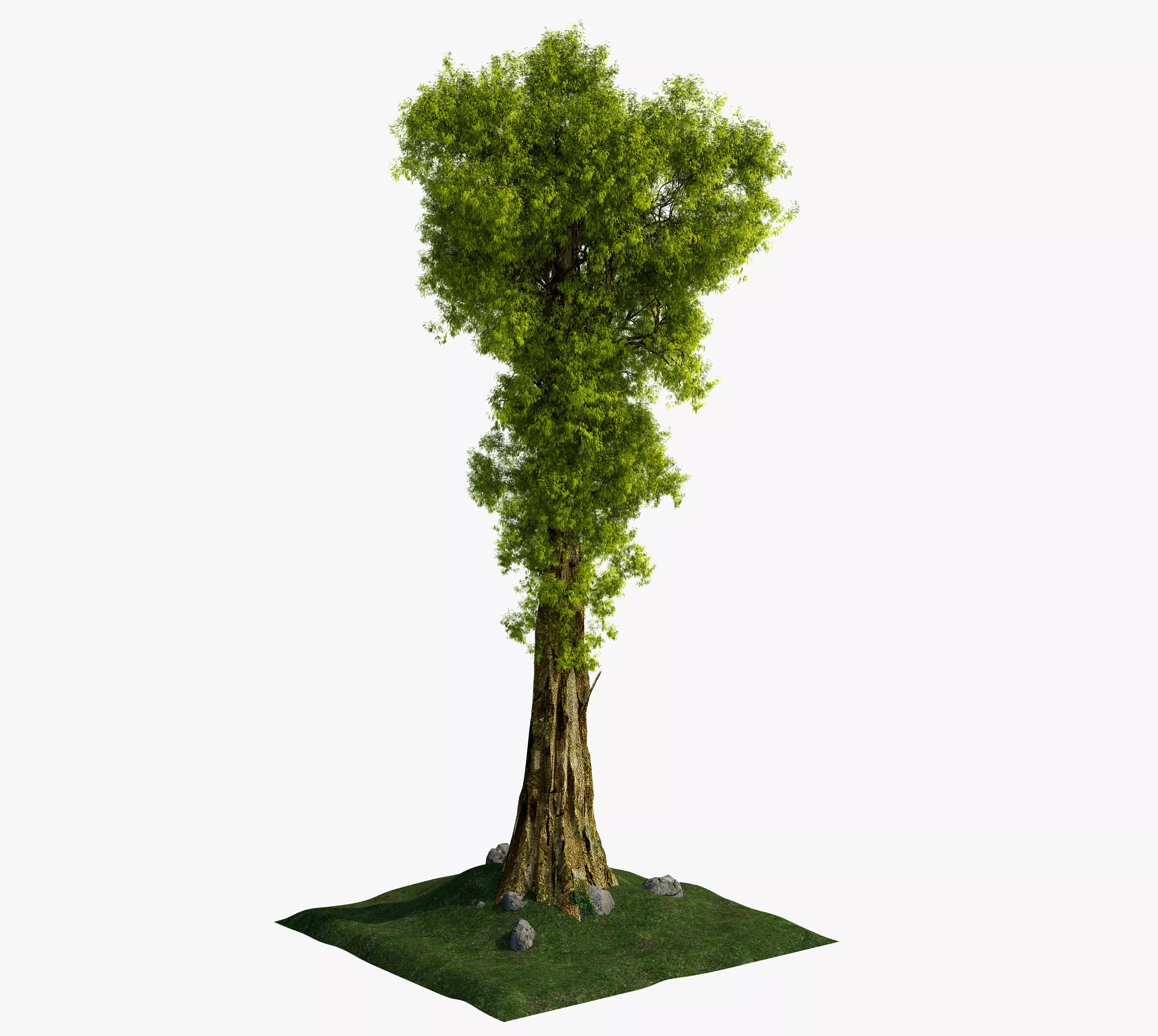 Fantasy Long Tree 3D model