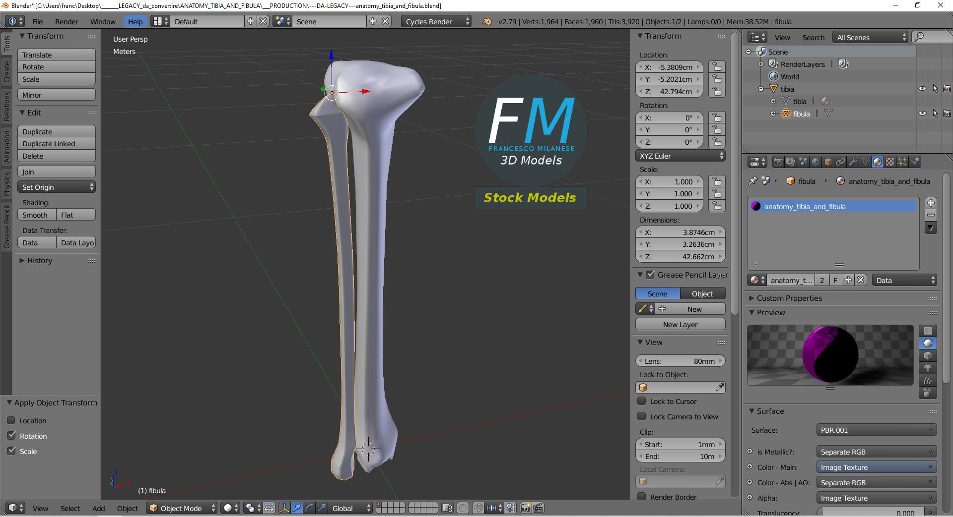 Anatomy - Tibia and Fibula Low-poly 3D model_9