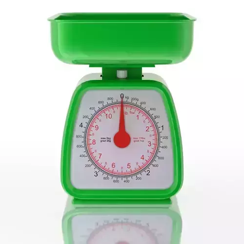 Kitchen Scale