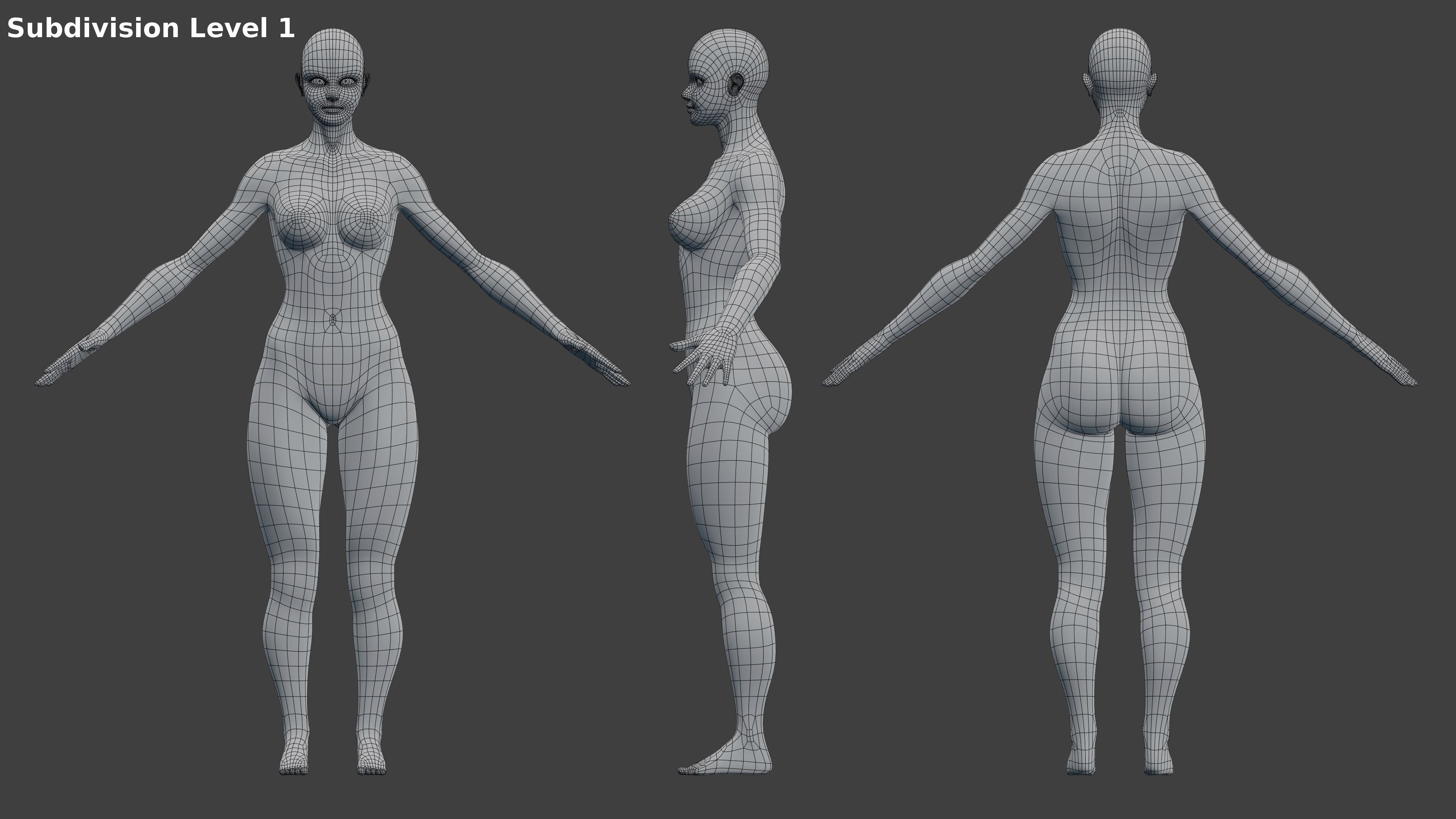 Woman Character Base Mesh Rigged Low-poly 3D model_7