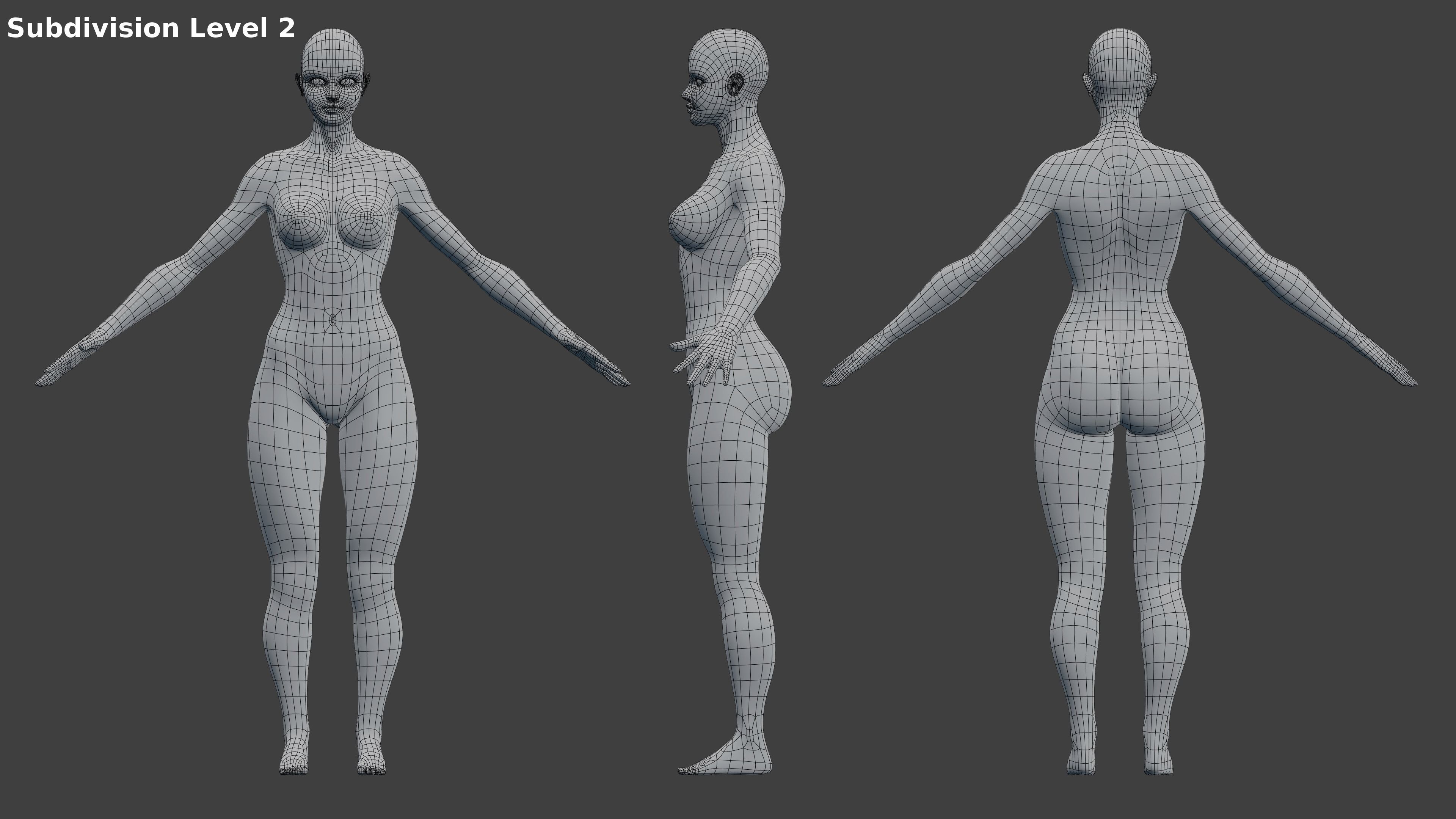 Woman Character Base Mesh Rigged Low-poly 3D model_8