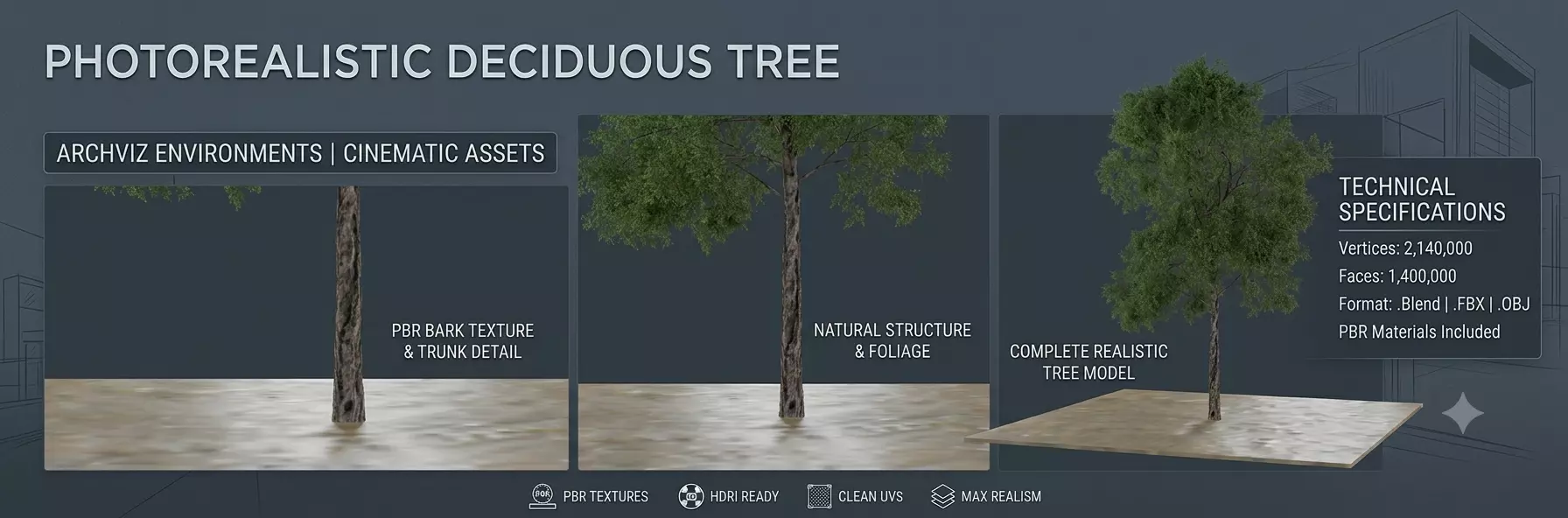 Realistic Deciduous Tree Texture