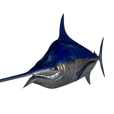 Blue marlin toon fish Low-poly 3D model_5