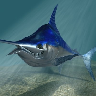 Blue marlin toon fish Low-poly 3D model_2