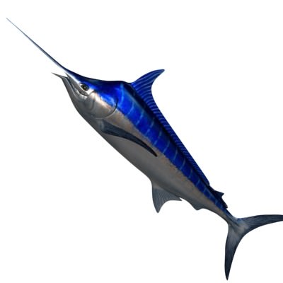 Blue marlin toon fish Low-poly 3D model_3