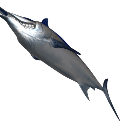 Blue marlin toon fish Low-poly 3D model_6