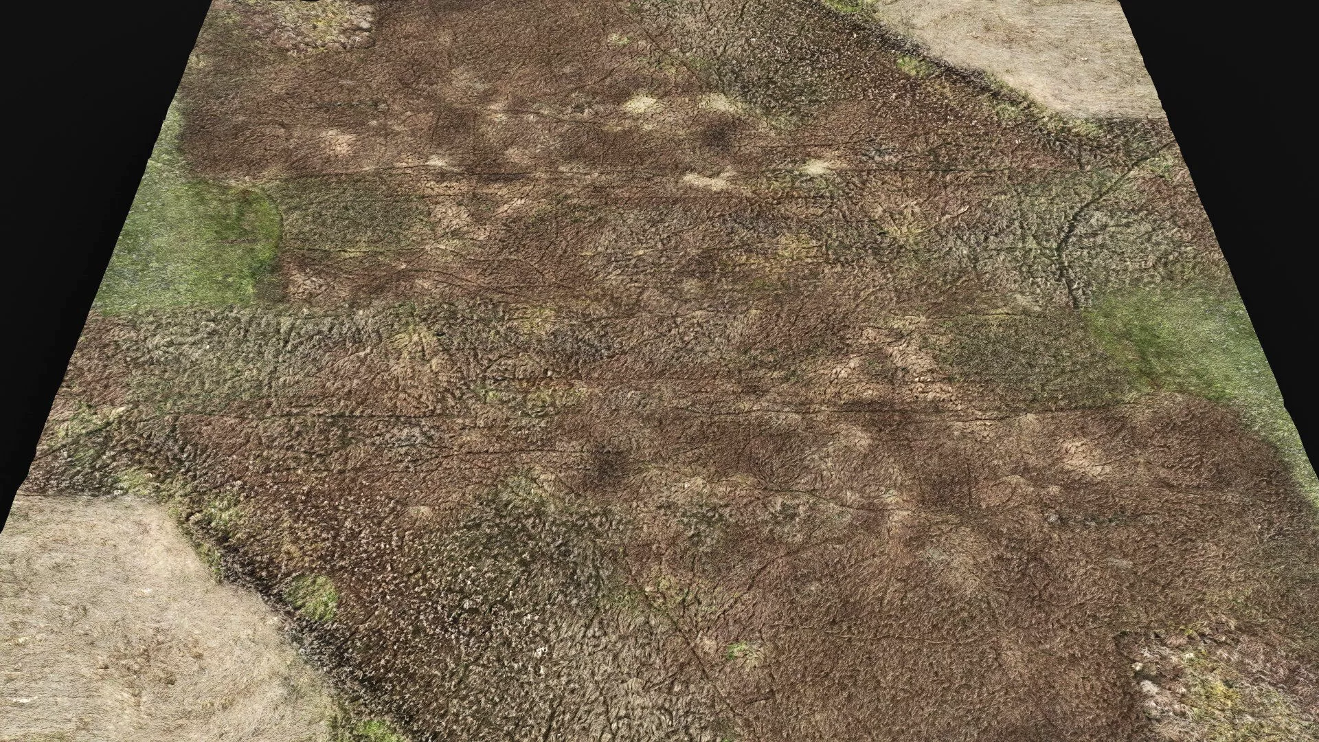 terrain ground grass bushes patch pt6 PBR photogrammetry Low-poly 3D model