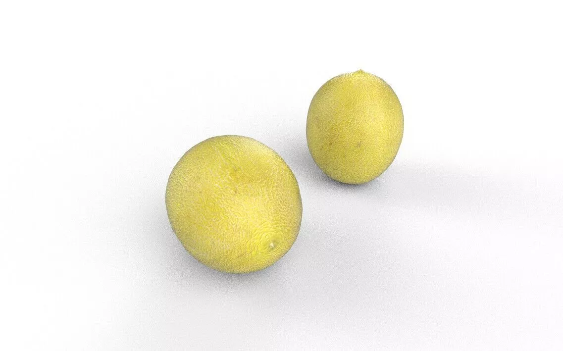 Melon M11 Low-poly 3D model