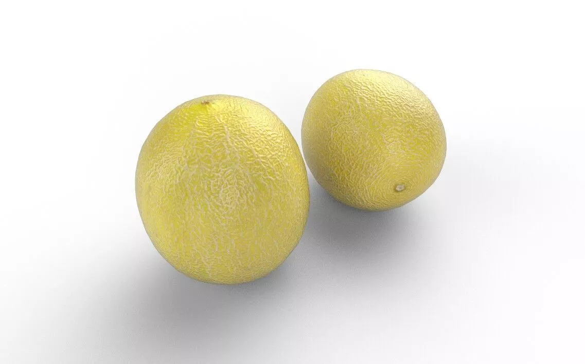 Melon M12 Low-poly 3D model