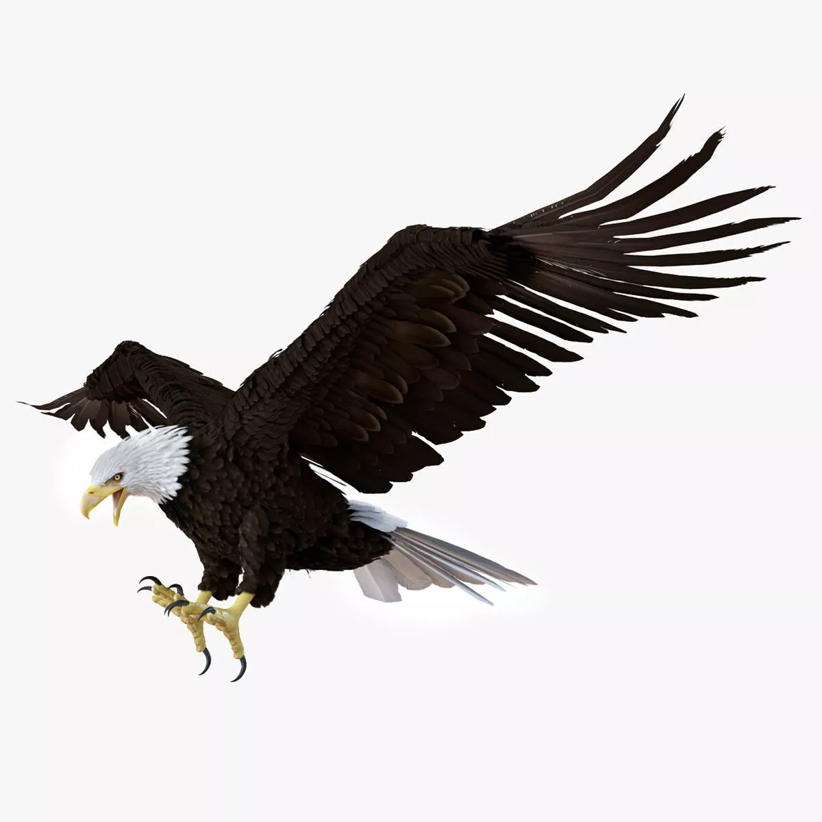 Realistic Bald Eagle Animated Rigged 3D model