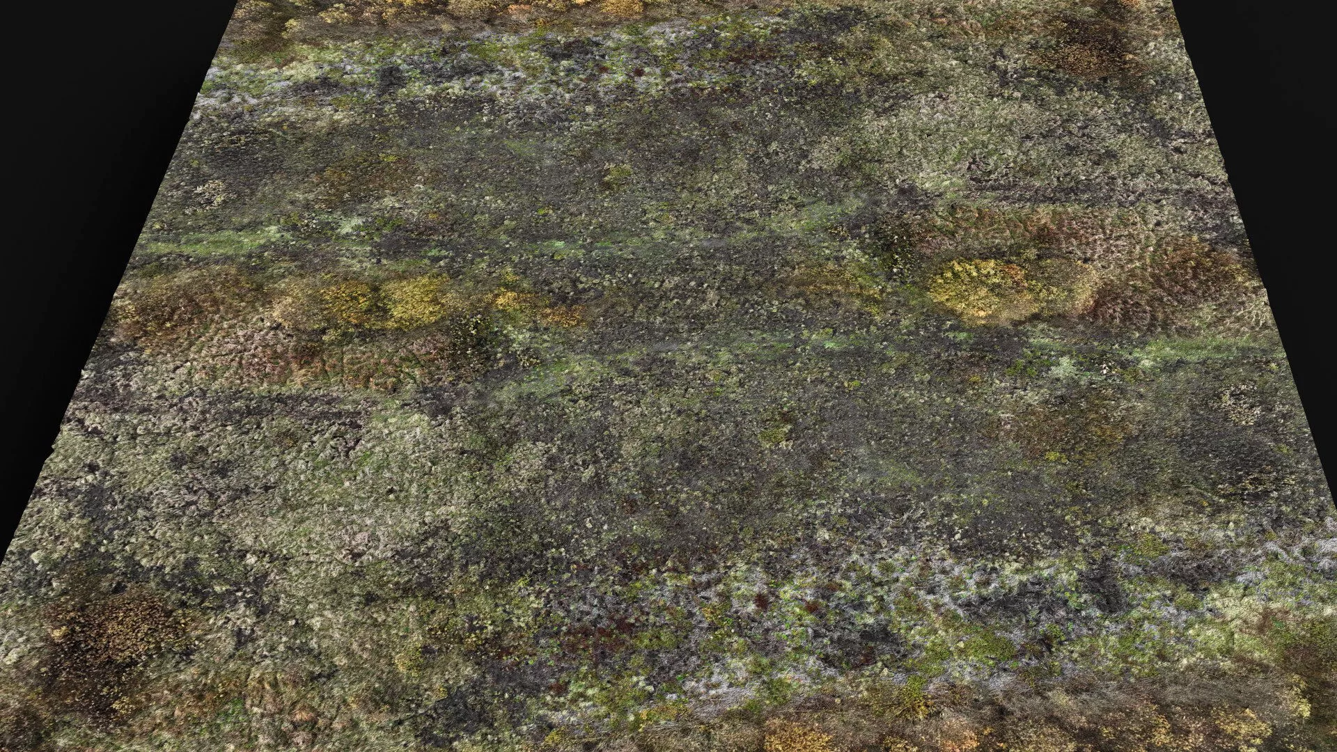 terrain ground grass bushes patch pt7 PBR photogrammetry Low-poly 3D model