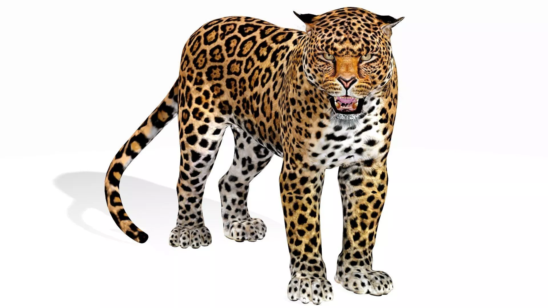 Rigged Jaguar 3D model