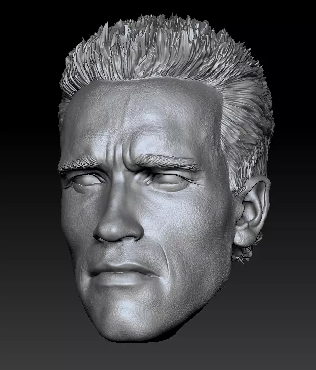 Terminator Arnold T2 head 3D print model