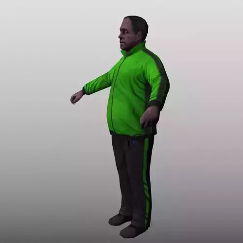 Black Coach Low Poly