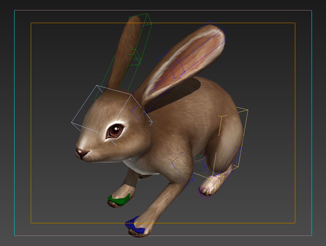 hare rabbit bunny animation  Low-poly 3D model_7