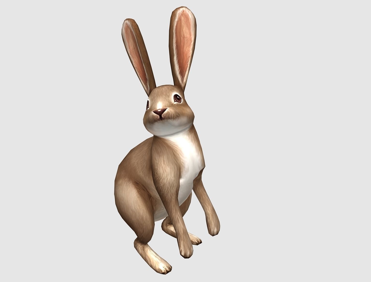 hare rabbit bunny animation  Low-poly 3D model_3