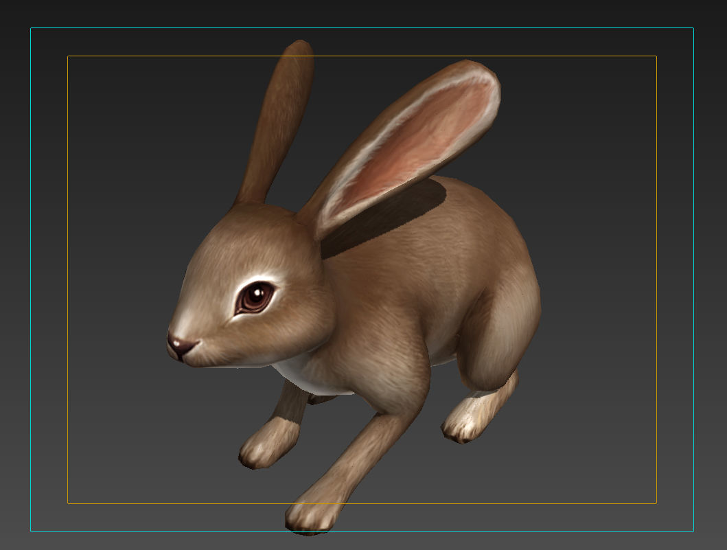 hare rabbit bunny animation  Low-poly 3D model_8
