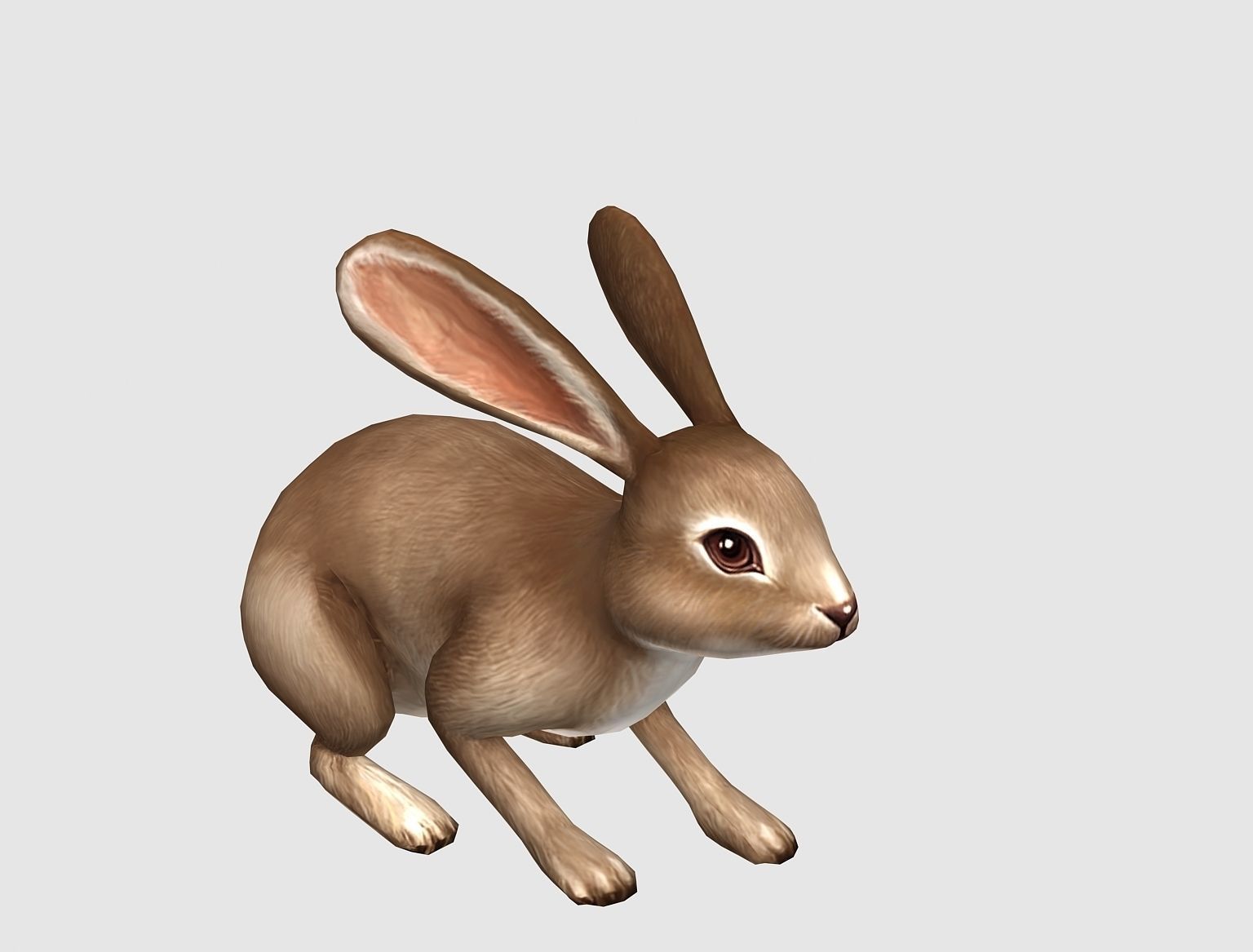 hare rabbit bunny animation  Low-poly 3D model_2