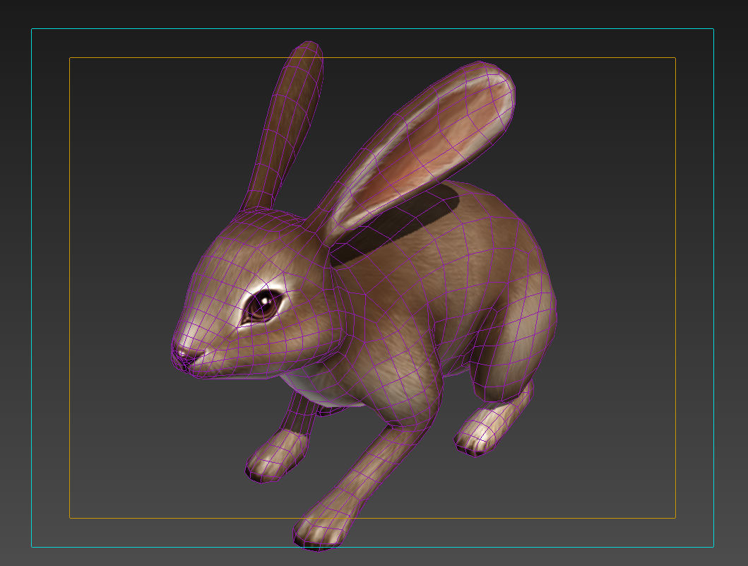 hare rabbit bunny animation  Low-poly 3D model_9