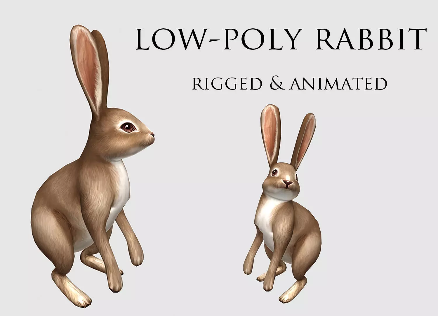 hare rabbit bunny animation  Low-poly 3D model_0