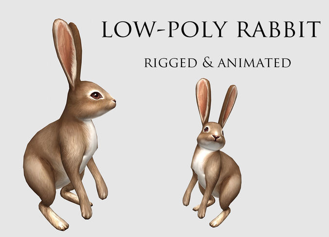 hare rabbit bunny animation  Low-poly 3D model