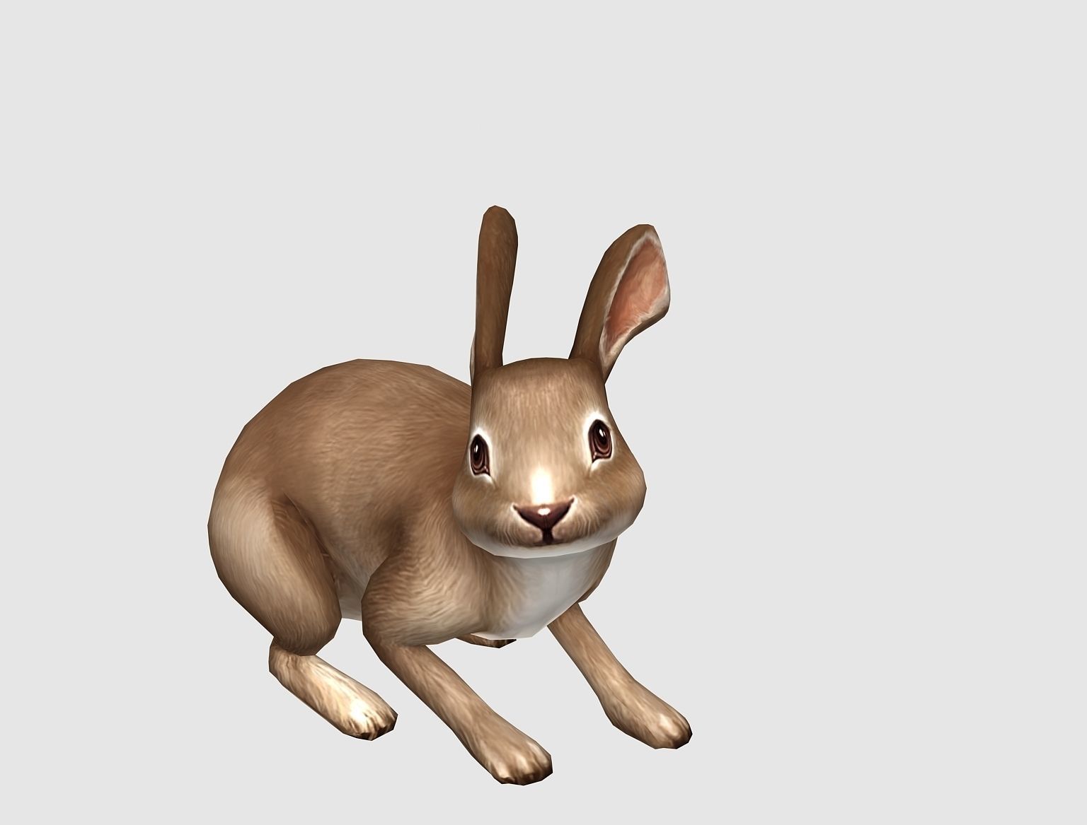 hare rabbit bunny animation  Low-poly 3D model_1