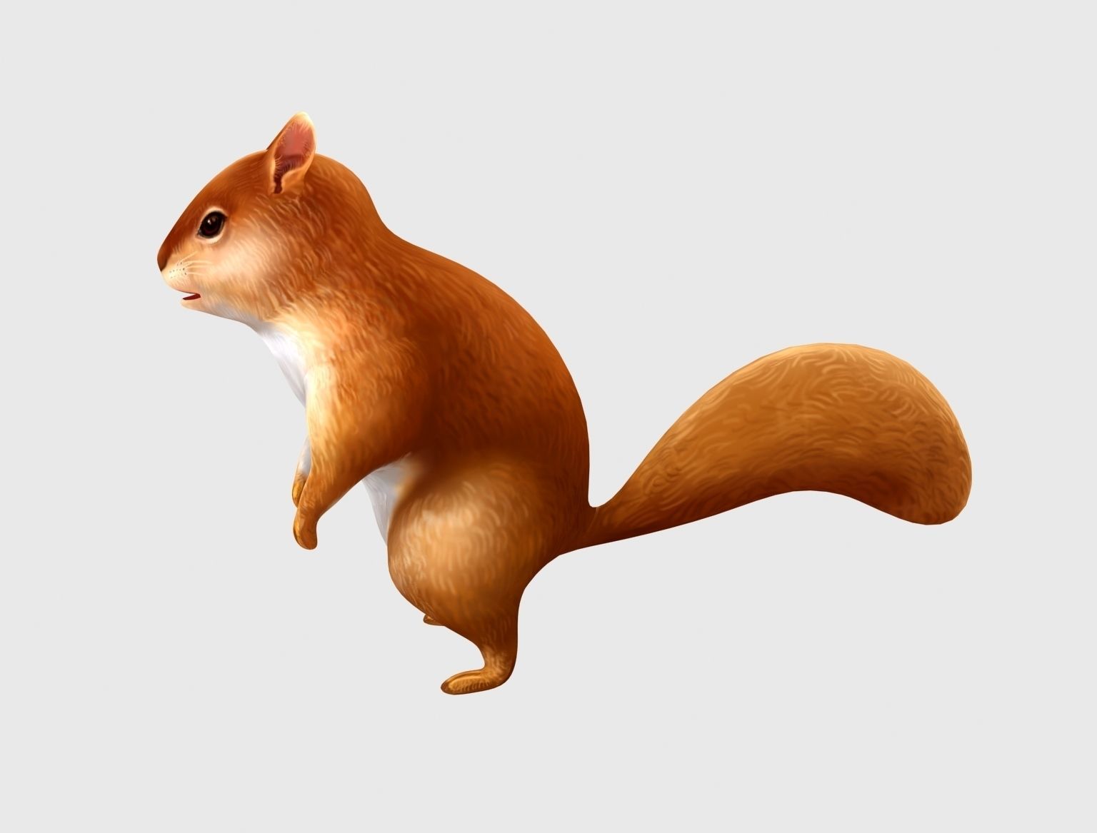 squirrel chipmunk chipmuck chippy animation Low-poly 3D model_12