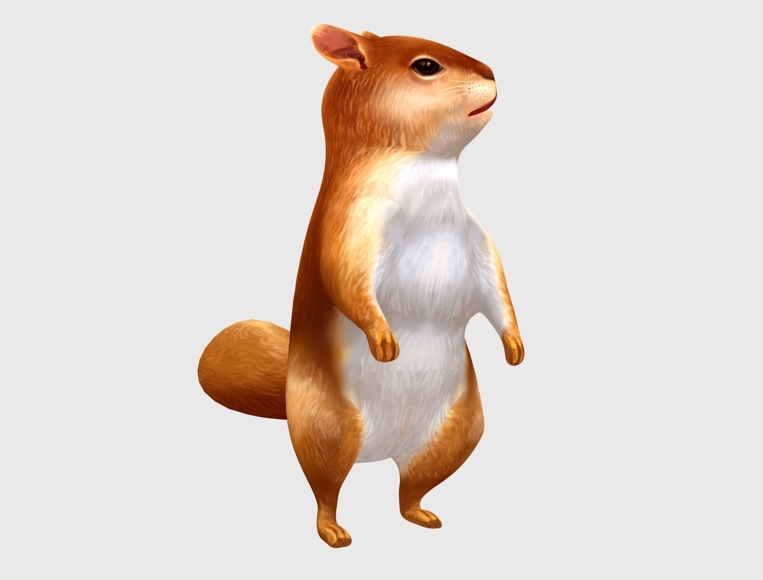 squirrel chipmunk chipmuck chippy animation Low-poly 3D model_2