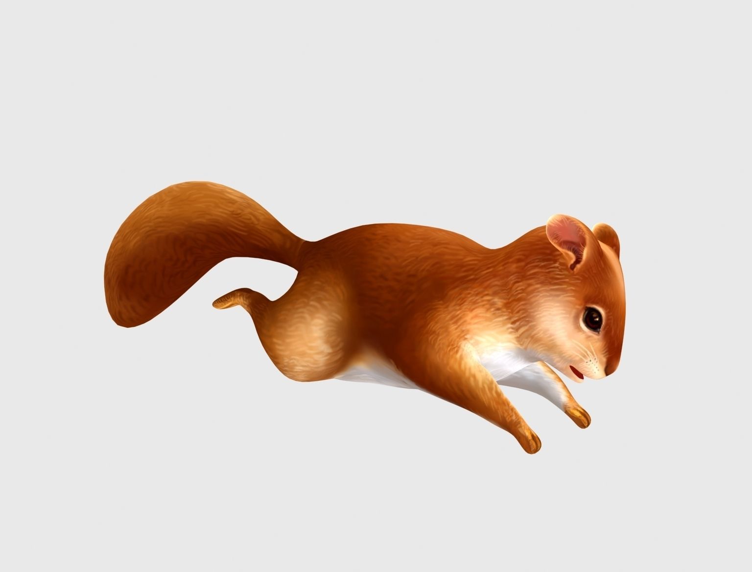 squirrel chipmunk chipmuck chippy animation Low-poly 3D model_9