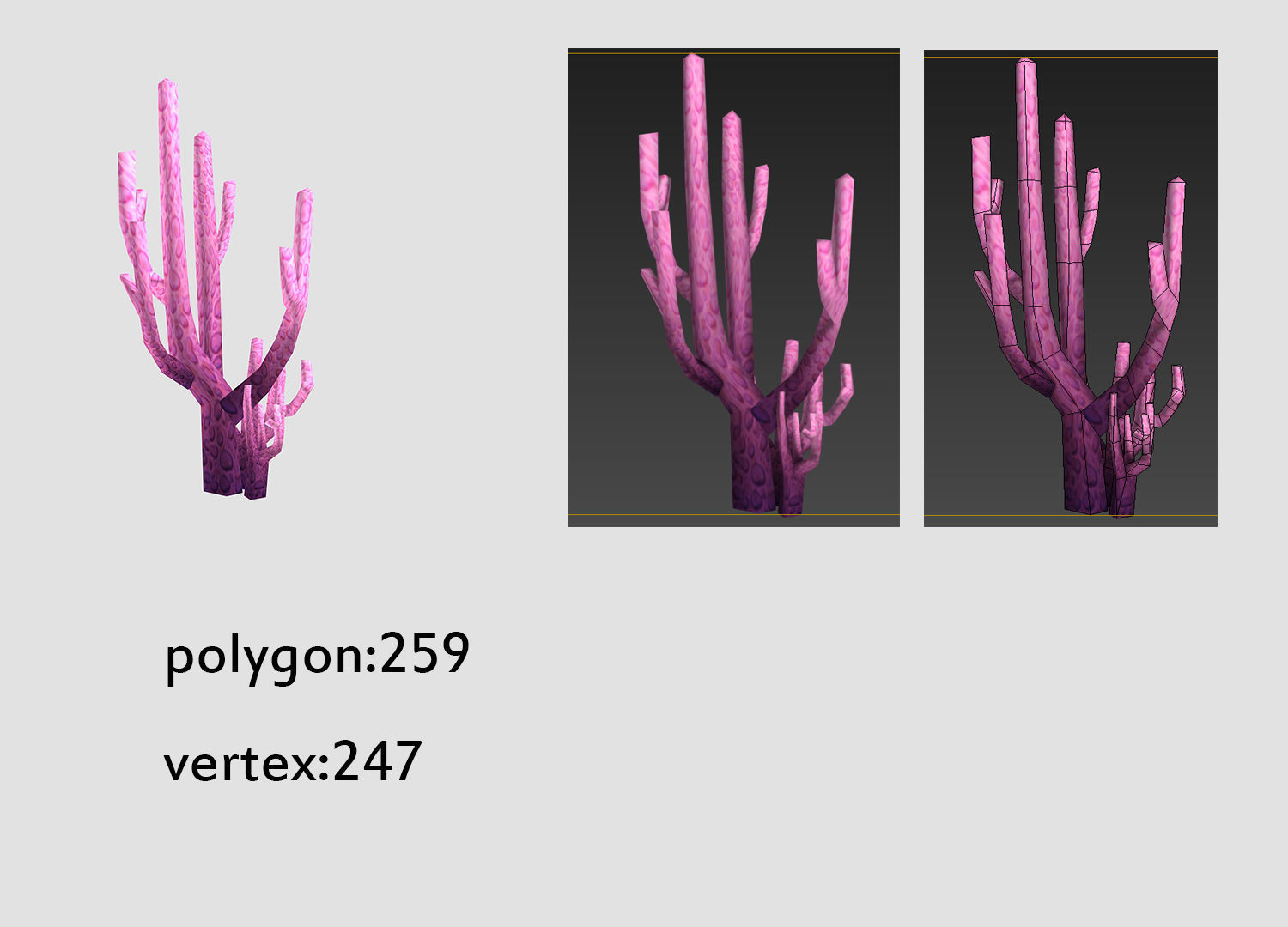 seaweed coral underwater plant aquatic  Low-poly 3D model_4