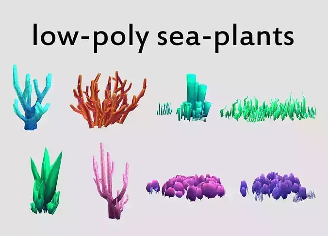 seaweed coral underwater plant aquatic  Low-poly 3D model