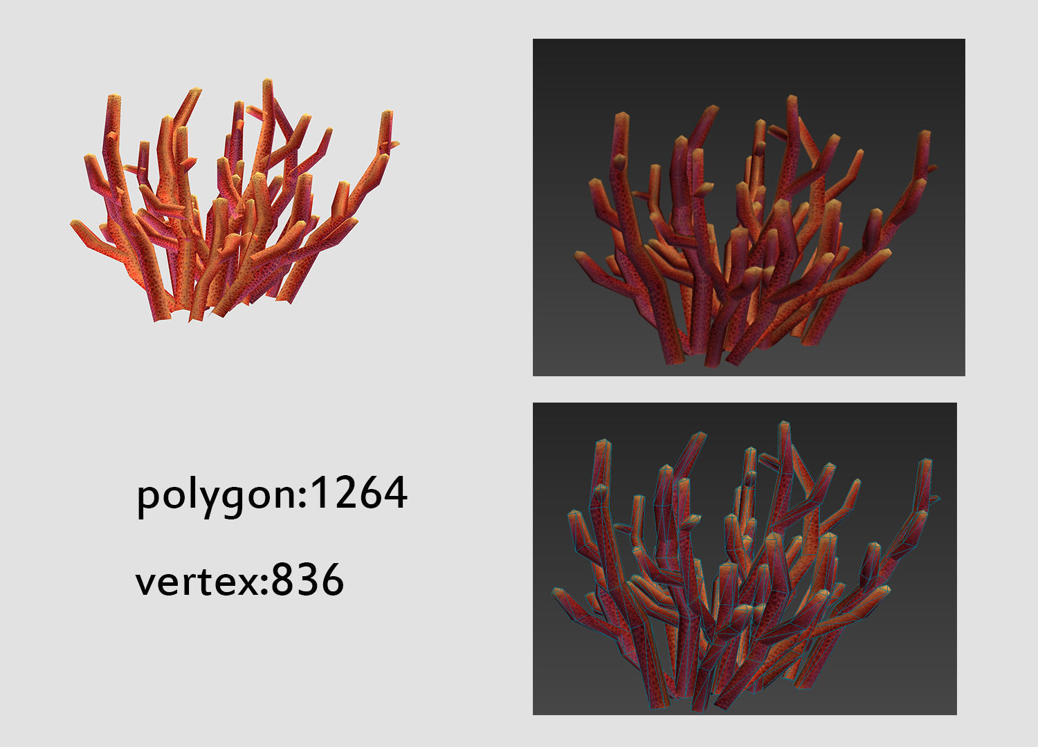 seaweed coral underwater plant aquatic  Low-poly 3D model_3