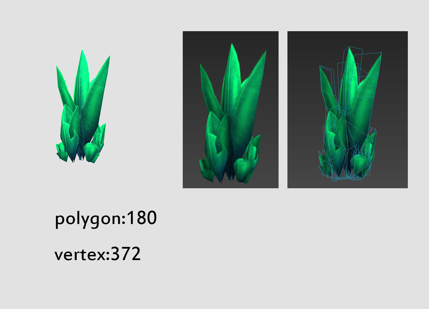 seaweed coral underwater plant aquatic  Low-poly 3D model_5