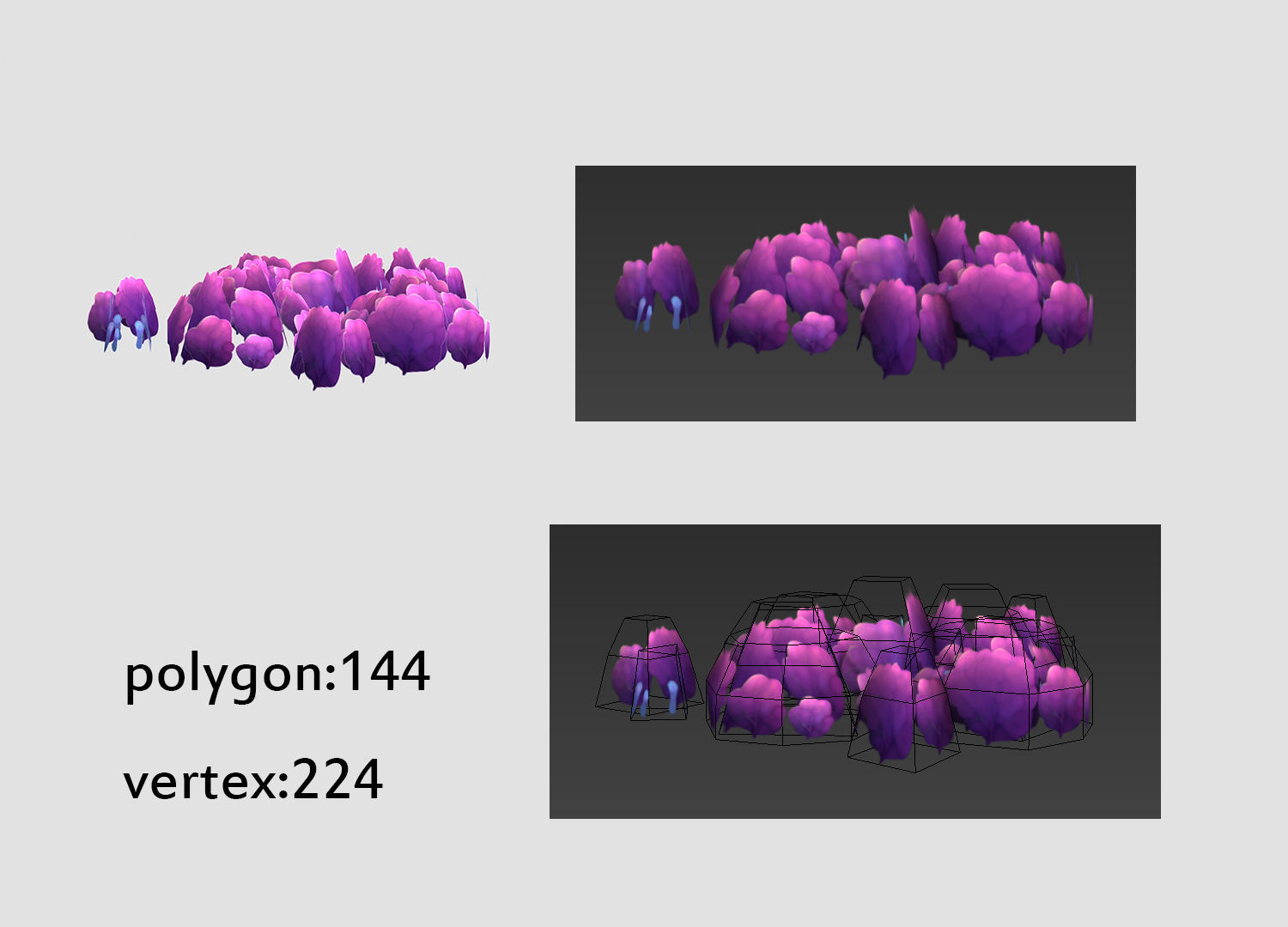 seaweed coral underwater plant aquatic  Low-poly 3D model_8