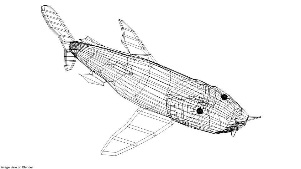 Shark - Bullshark 3D model_3