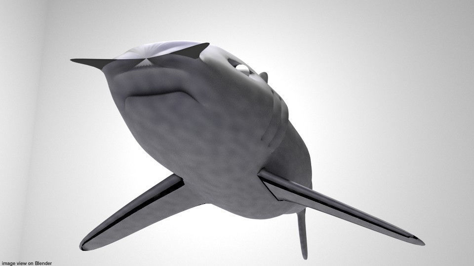 Shark - Bullshark 3D model_2