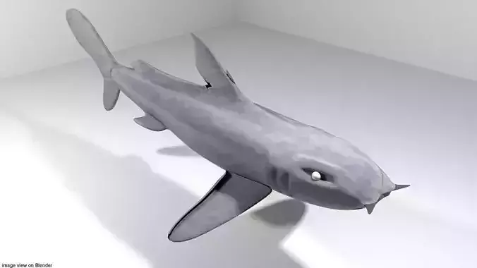 Shark - Bullshark 3D model