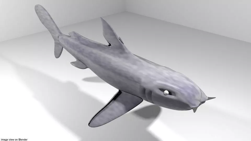 Shark - Bullshark 3D model_0