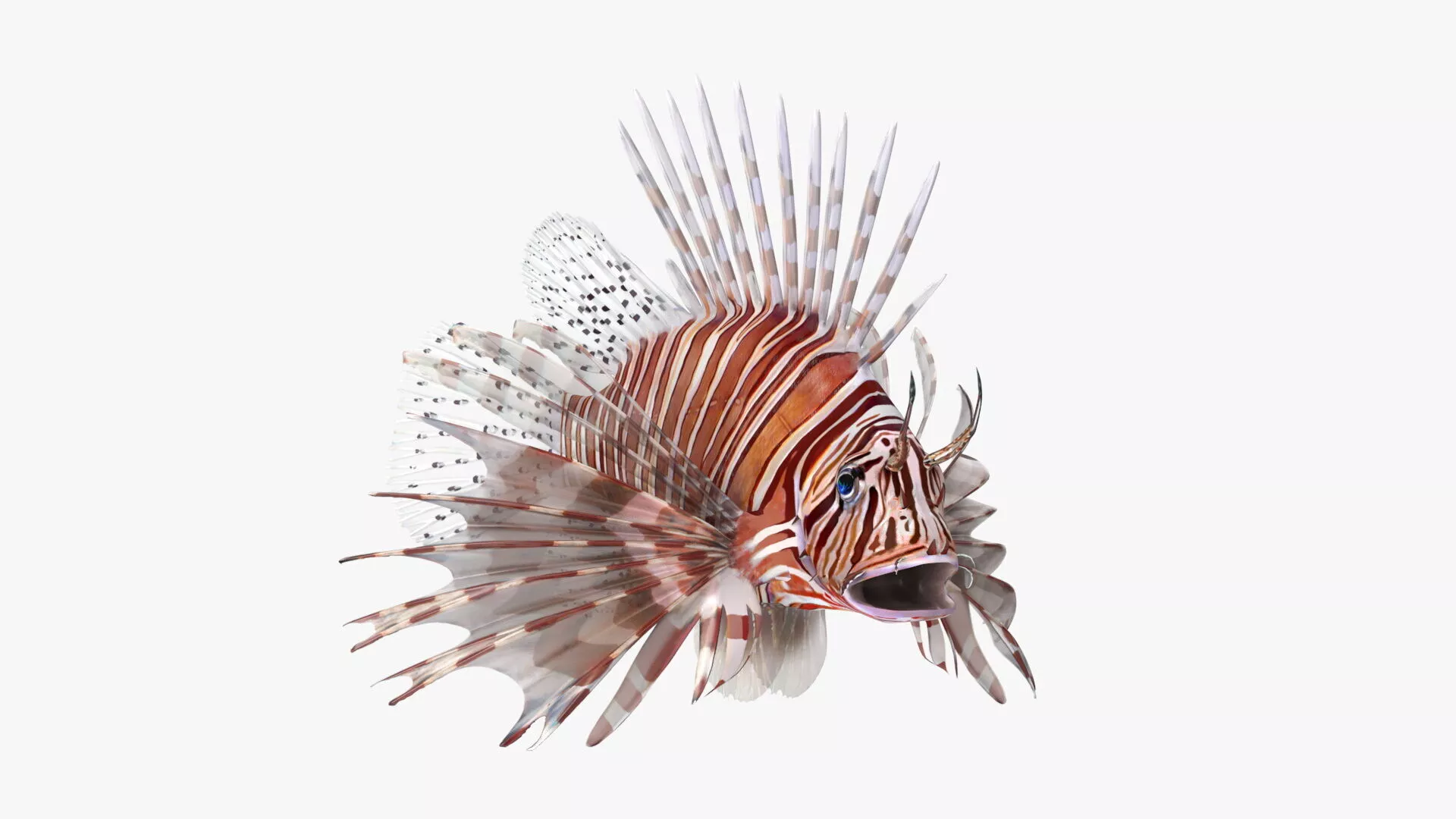 Lionfish Marine Creature Rigged 3D model