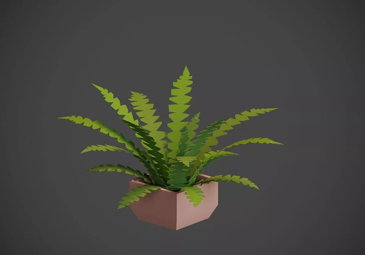 Boston Plant Low-poly 3D model