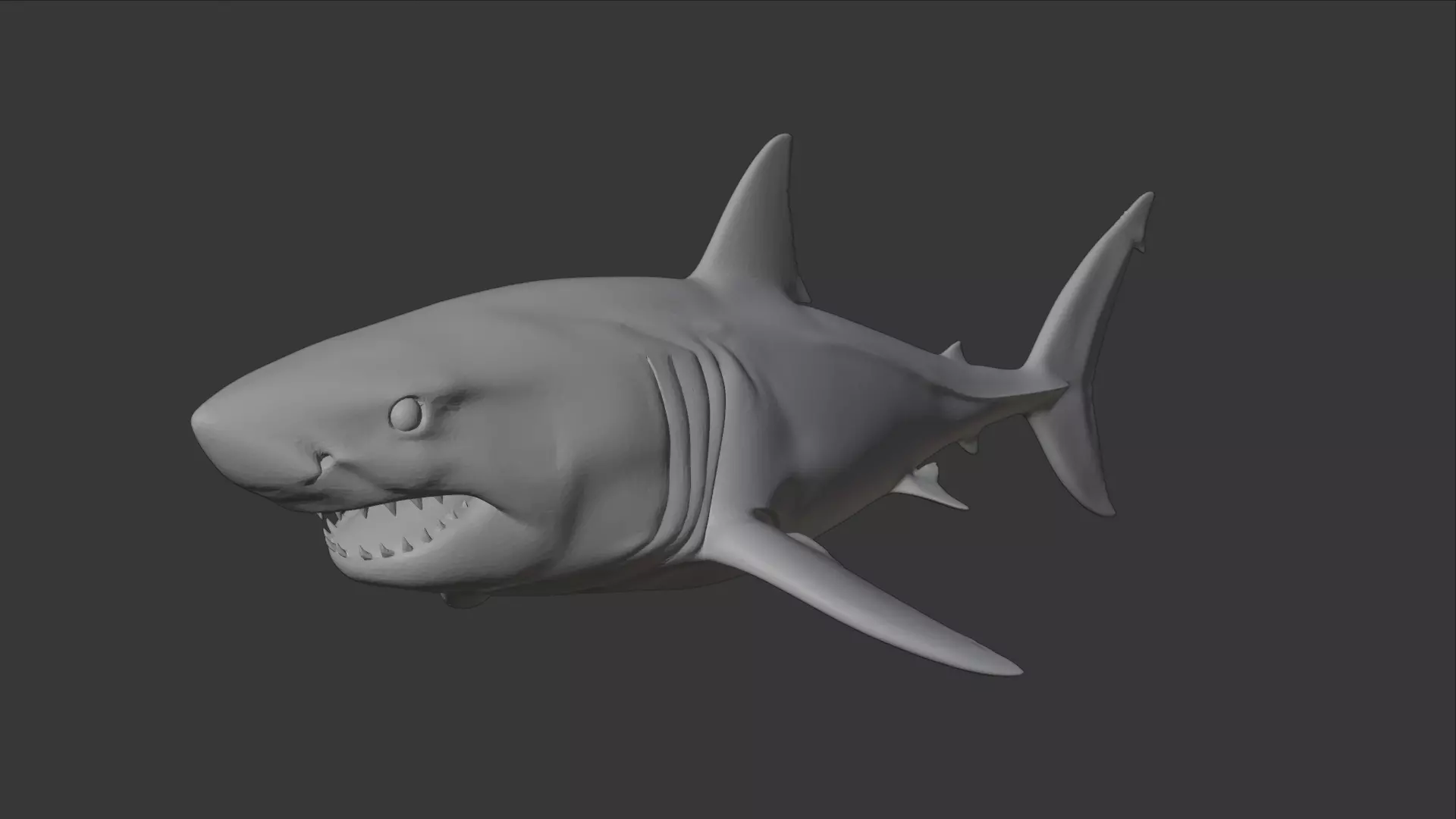 Realistic Great White Shark 3D Model High Poly Marine Animal 3D model